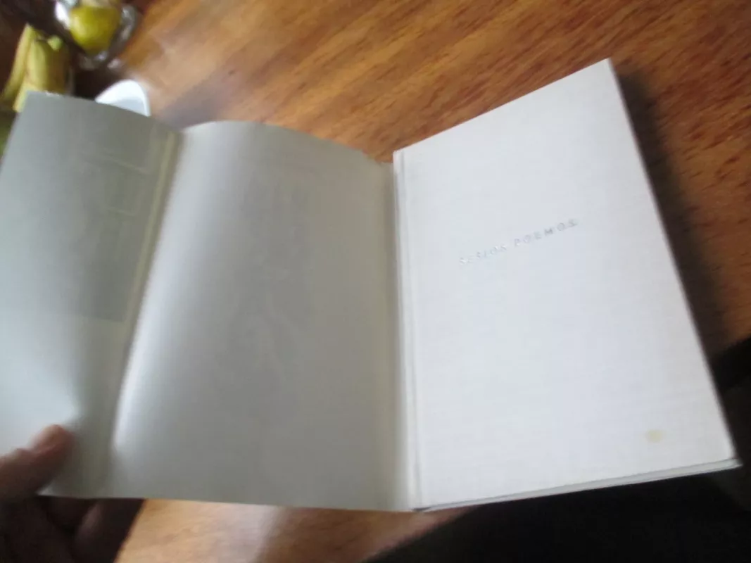 Šešios poemos - Justinas Marcinkevičius, knyga 5