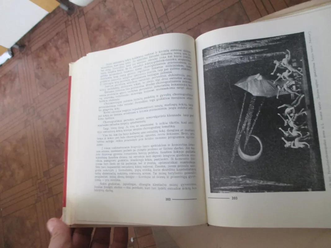 Šokio menas - Vytautas Grivickas, knyga 5