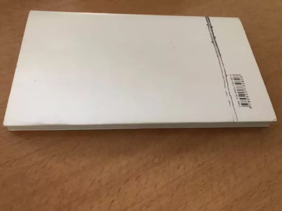 Į niekur laiškai - Marina Cvetajeva, knyga 3