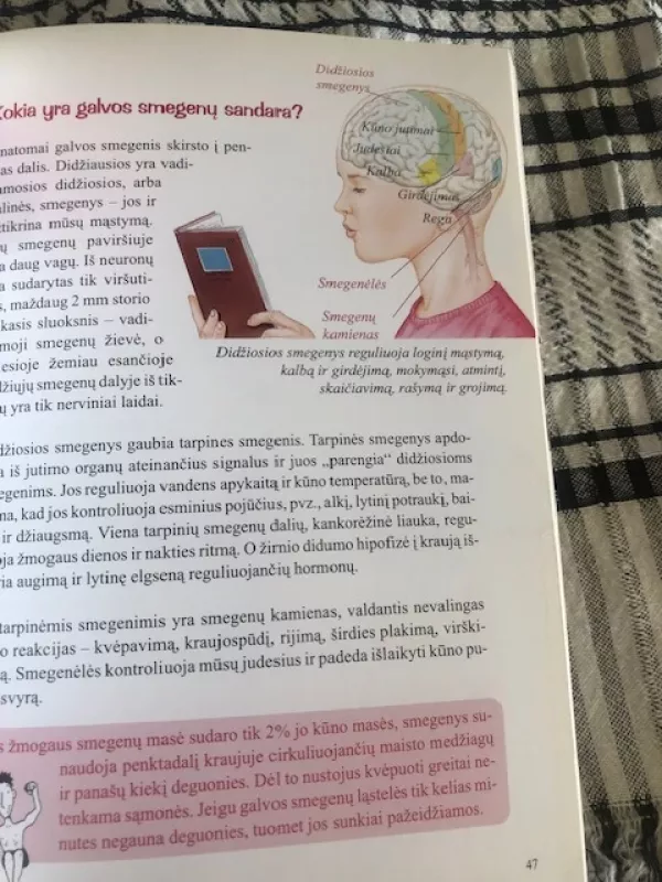 Gudrių atsakymų knyga. Žmogaus kūnas - Rainer Kothe, knyga 4