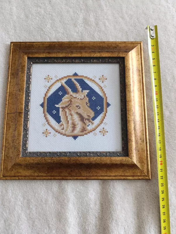 Zodiako ženklas oziaragis - , namai ir interjeras 2