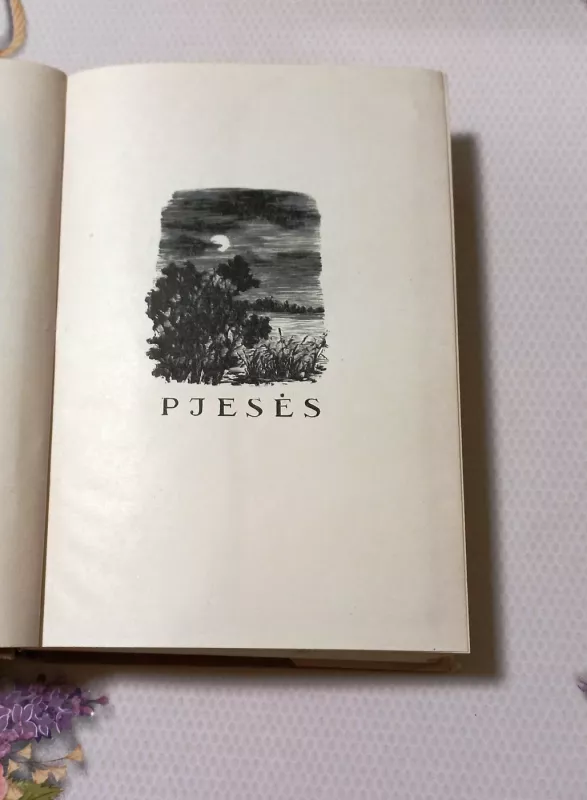 A. Vienuolis raštai VI tomas - A. Vienuolis, knyga 4