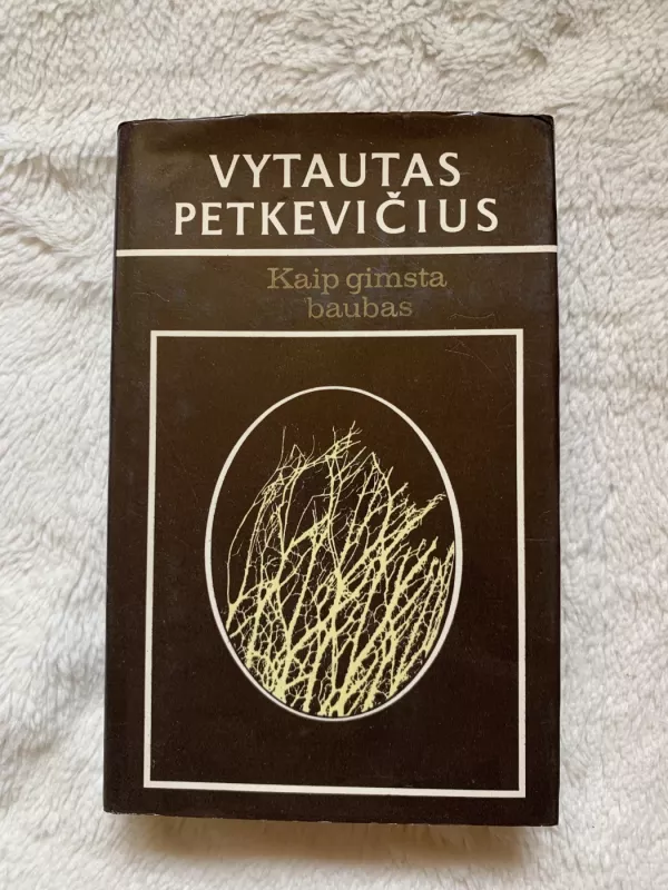 Kaip gimsta baubas - Vytautas Petkevičius, knyga 2