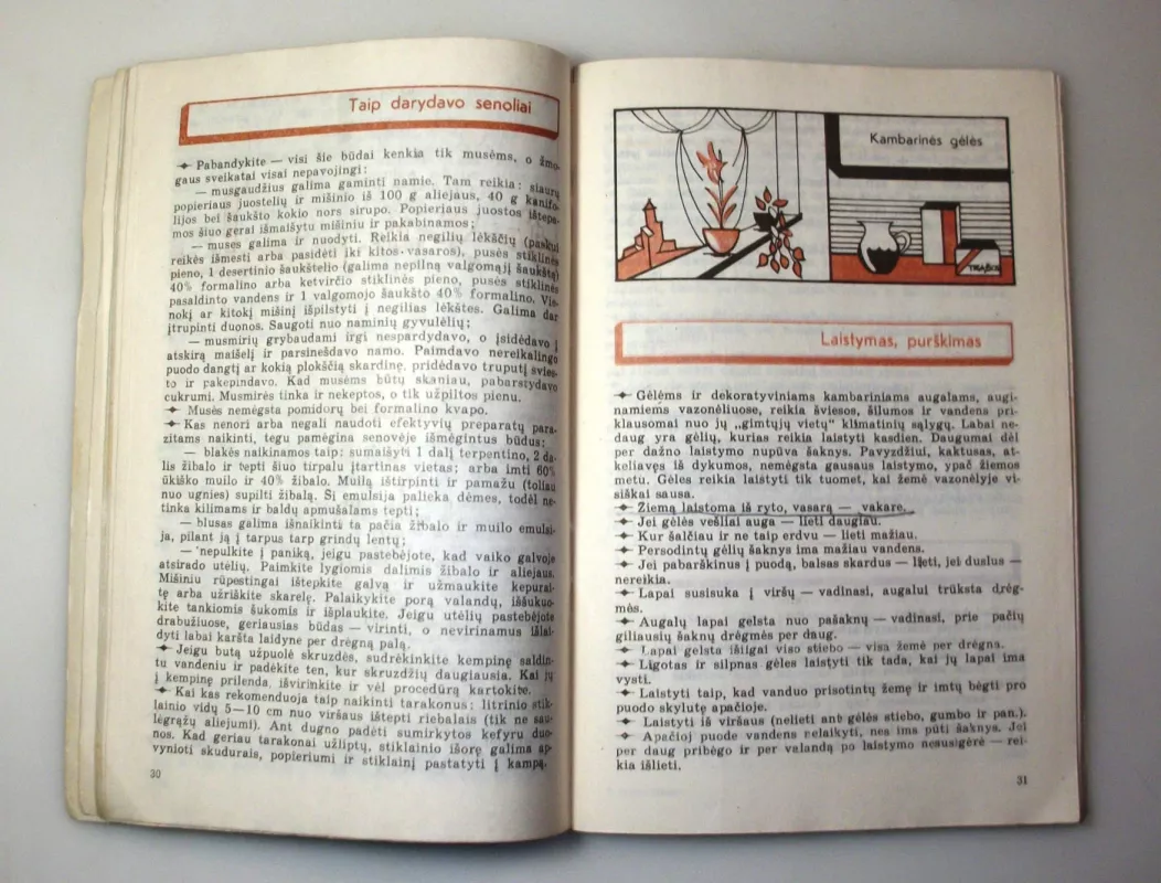 Jaunai šeimai - Birutė Boreišienė, knyga 6