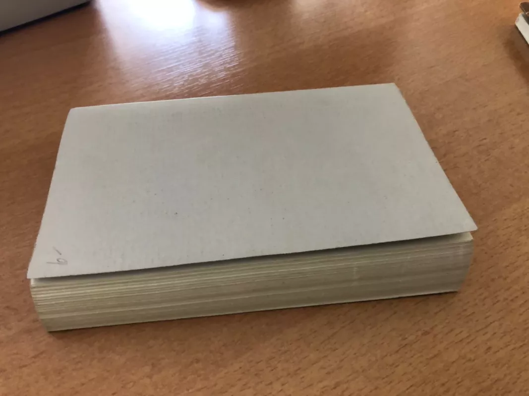 Rinktinė - Antanas Baranauskas, knyga 4