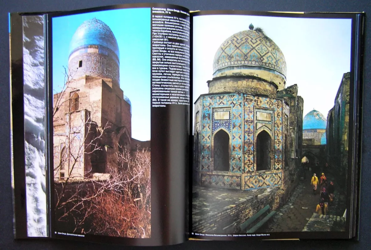 Vidurinė Azija. IX–XIX amžių architektūros paminklai (knyga rusų kalba) - Borodina Irina, knyga 5