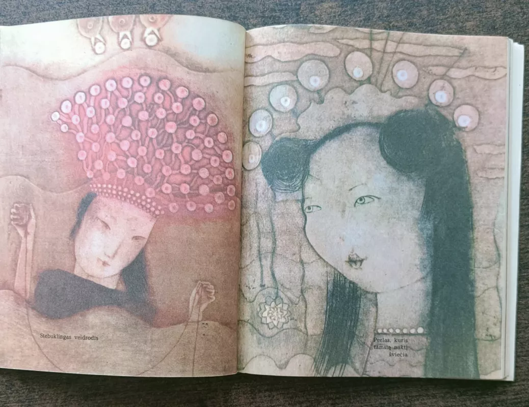 Kinų pasakos - liaudis Kinų, knyga 5