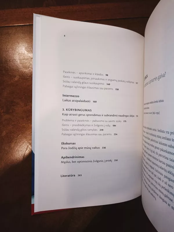 Lengva galva. Kaip išmokti gyventi be įtampos, geriau susikaupti ir tapti kūrybiškiems - Volker Busch, knyga 6