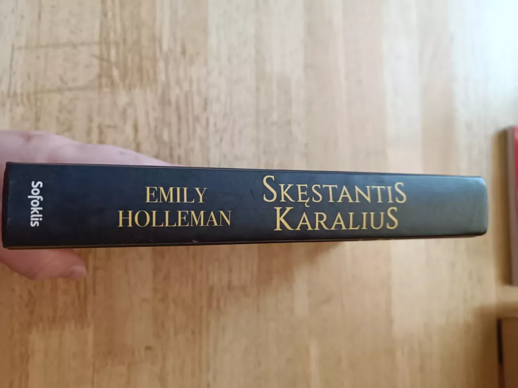 Skęstantis karalius - Holleman Emily, knyga 3