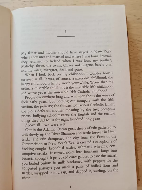 Angela's Ashes - Frank McCourt, knyga 4