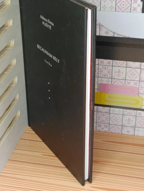 Begaliniam kely. Lyrika - Aldona Elena Puišytė, knyga 4