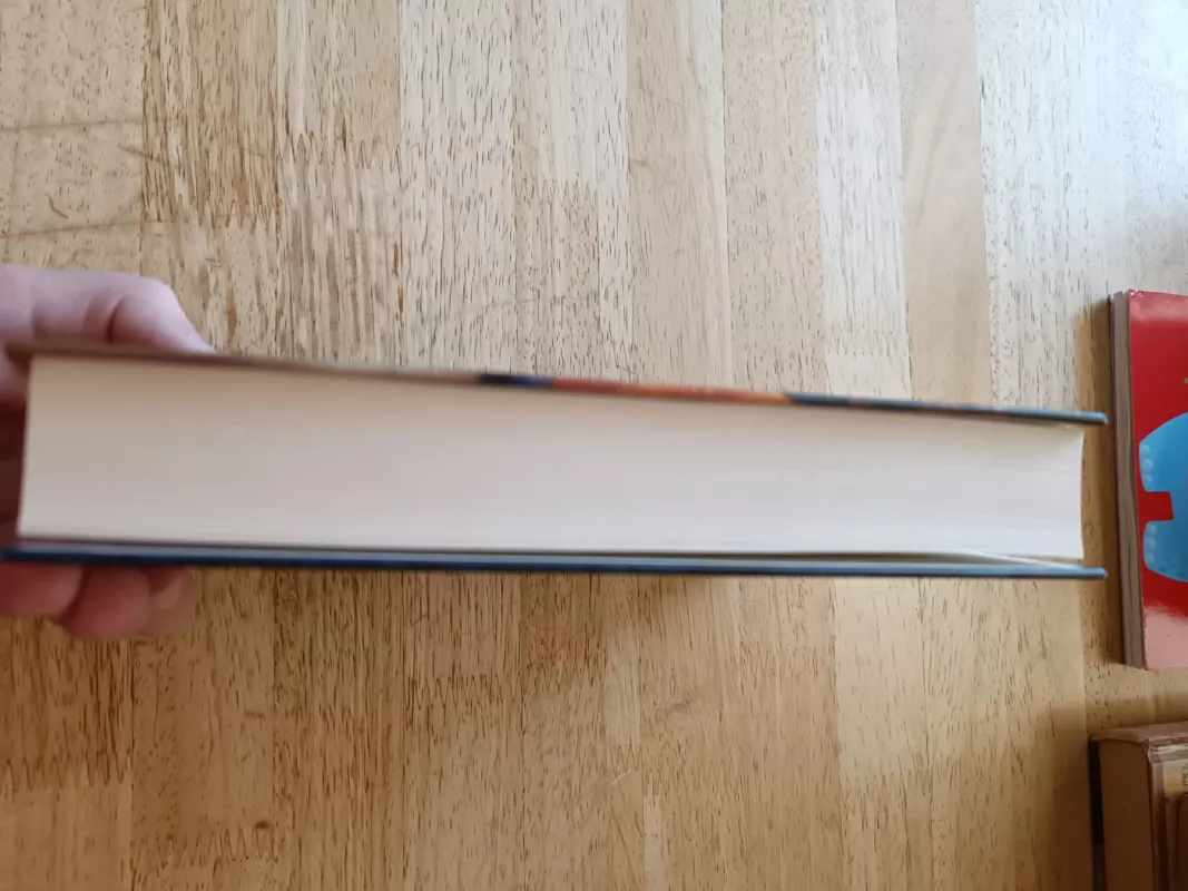 Skęstantis karalius - Holleman Emily, knyga 4