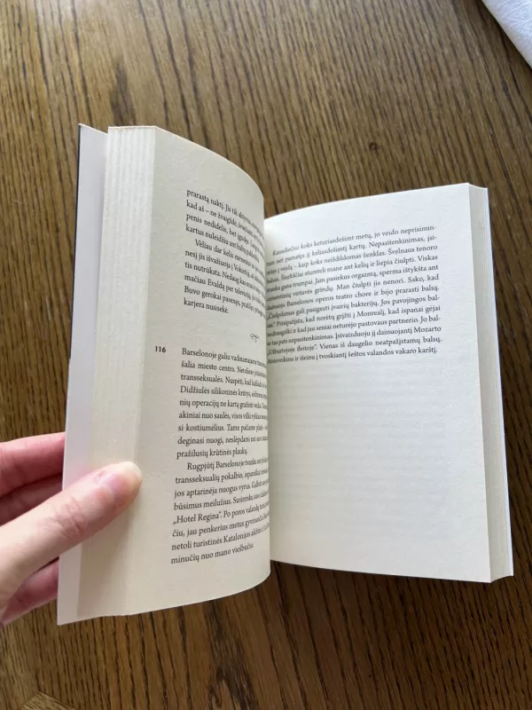 Nesibaigianti vasara - Artūras Tereškinas, knyga 5