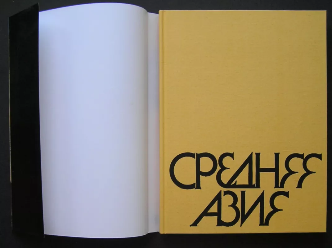 Vidurinė Azija. IX–XIX amžių architektūros paminklai (knyga rusų kalba) - Borodina Irina, knyga 3