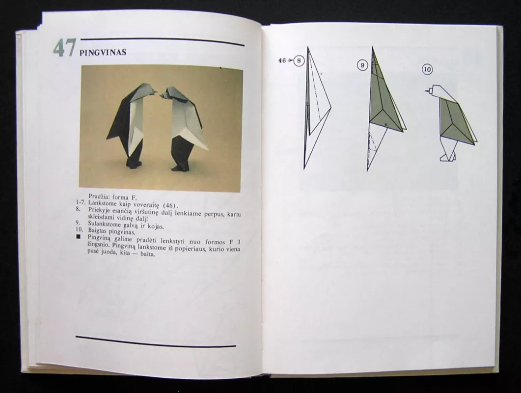 Susipažinkite - origamis - J. Paulionytė, knyga 3