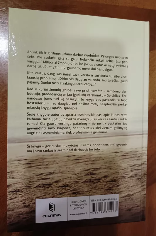 Gyvenu be šefo: ši knyga paskatins tave pamėgti savarankišką darbą - Sergio Fernandez, knyga 3