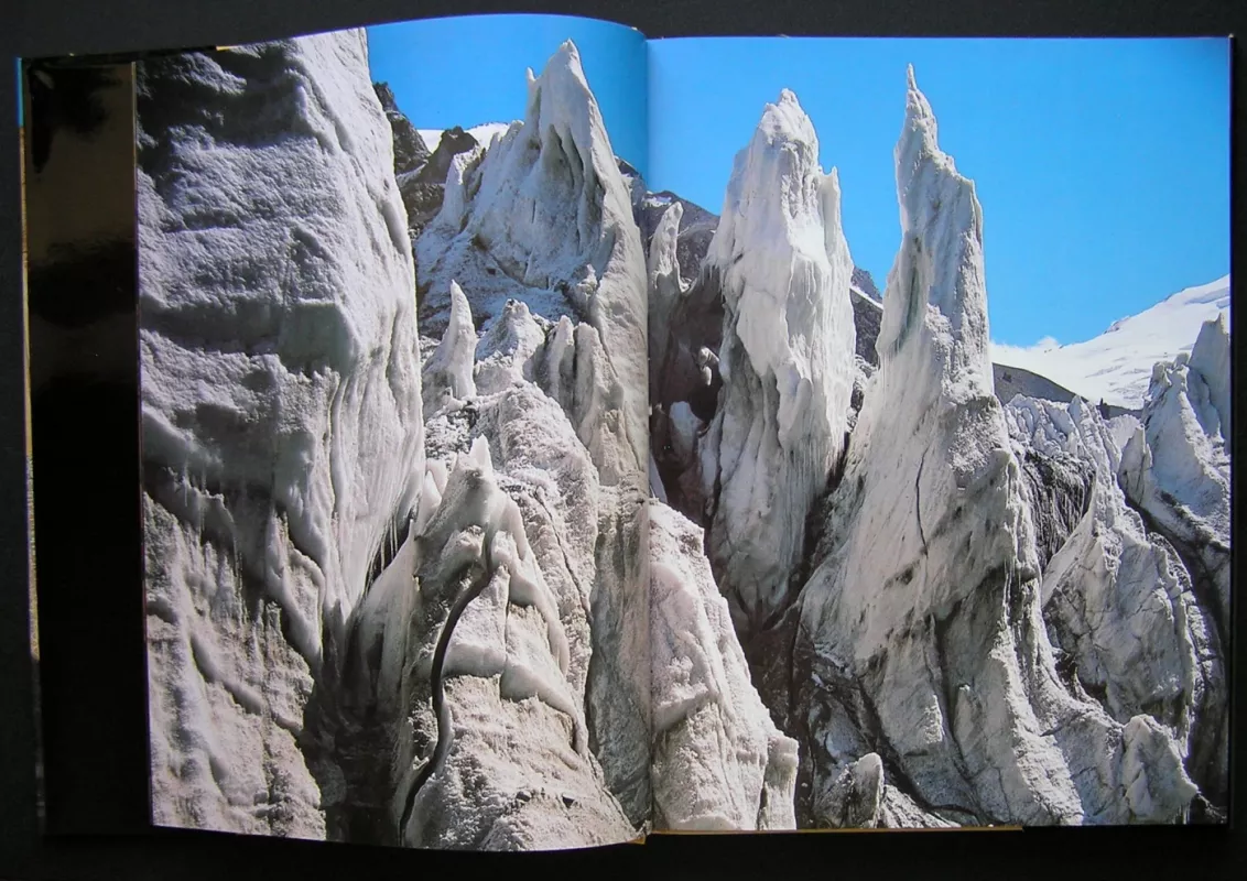 Vidurinė Azija. IX–XIX amžių architektūros paminklai (knyga rusų kalba) - Borodina Irina, knyga 4