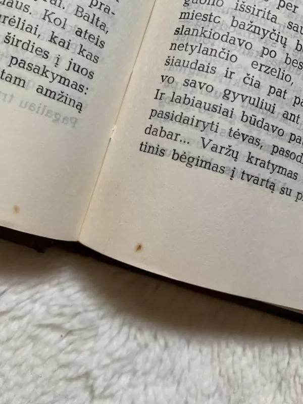 Savūnė - Algimantas Zurba, knyga 5