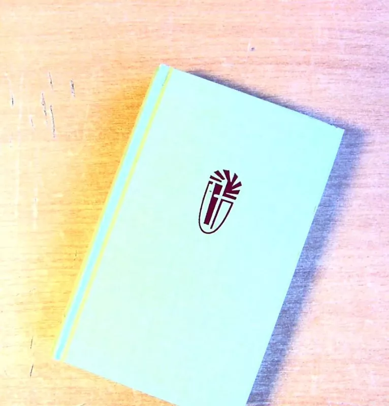 Ateikite ir pamatykite - Antanas Rubšys, knyga 2