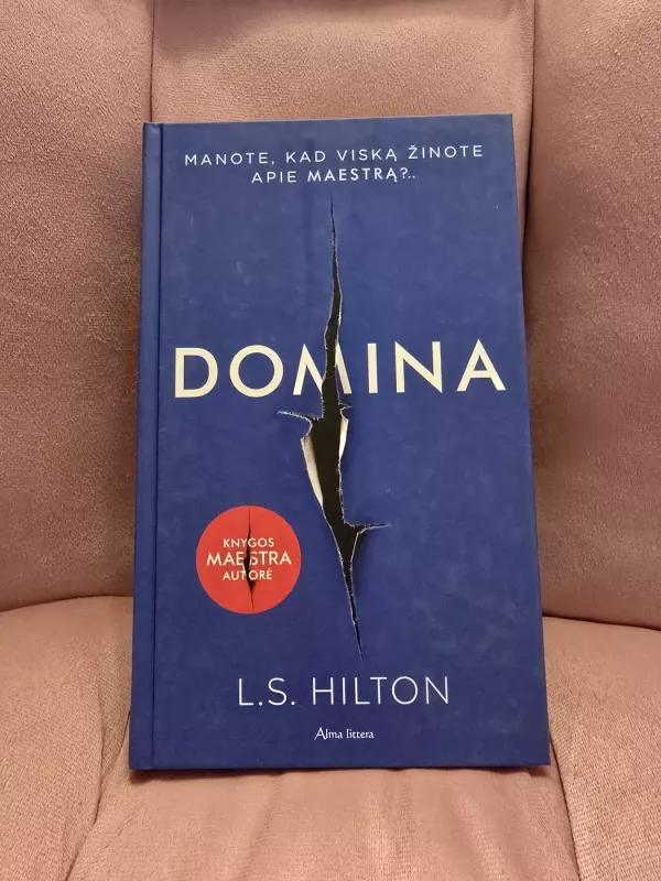 Domina - L.S. Hilton, knyga 2