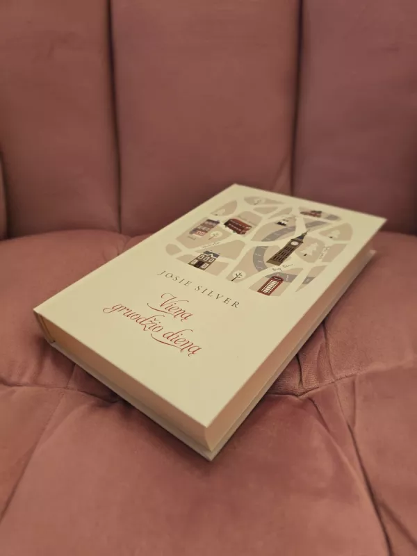 Vieną gruodžio dieną - Josie Silver, knyga 3