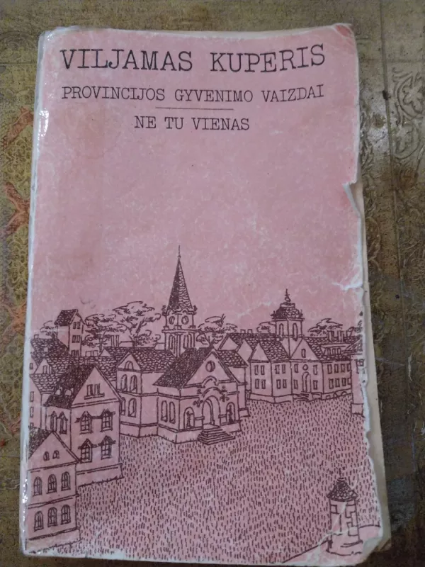 Provincijos gyvenimo vaizdai. Ne tu vienas - Viljamas Kuperis, knyga 2
