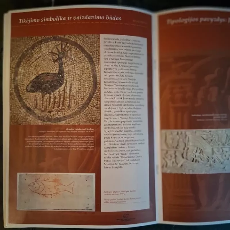 Iš šventosios žemės - į visas tautas: krikščionybės plitimas pirmaisiais mūsų eros amžiais - Prosperi Paolo, Tanca Enrico, knyga 3