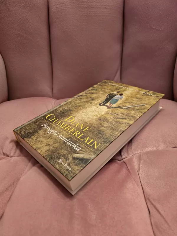 Pavogta santuoka - Diane Chamberlain, knyga 3