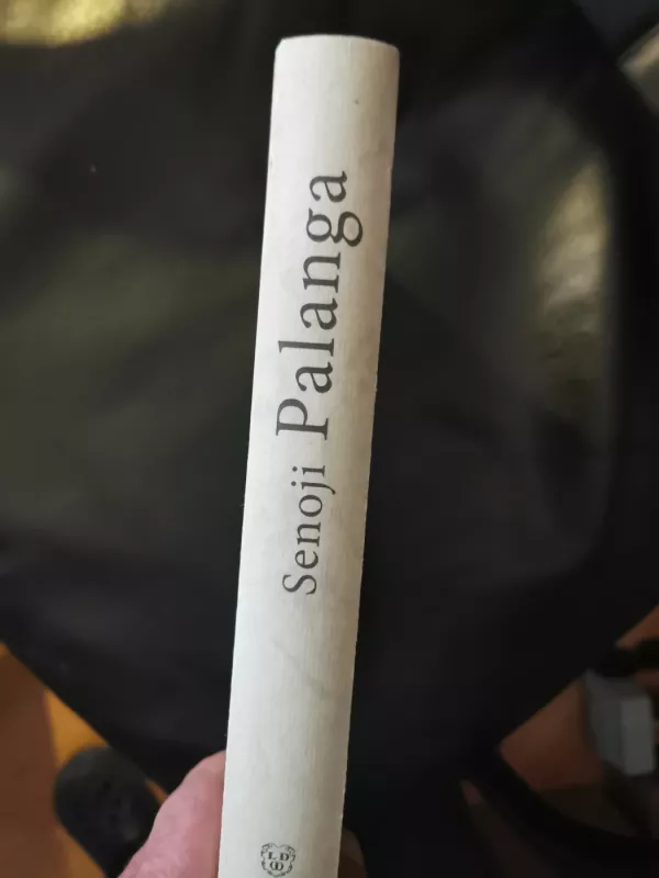 Senoji Palanga: Henriko Grinevičiaus fotografijų ir atvirukų kolekcija - Margarita Matulytė, knyga 6