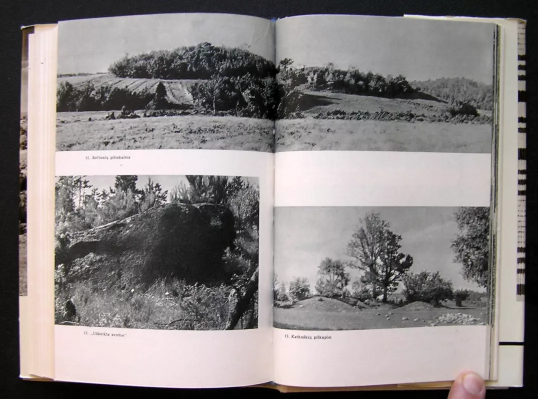 Dieveniškės - Autorių Kolektyvas, knyga 6