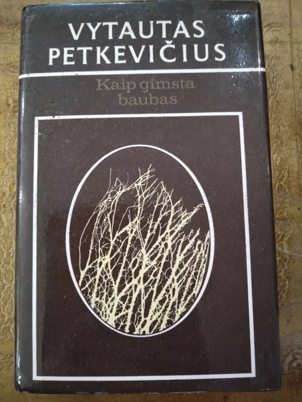 Kaip gimsta baubas - Vytautas Petkevičius, knyga 2