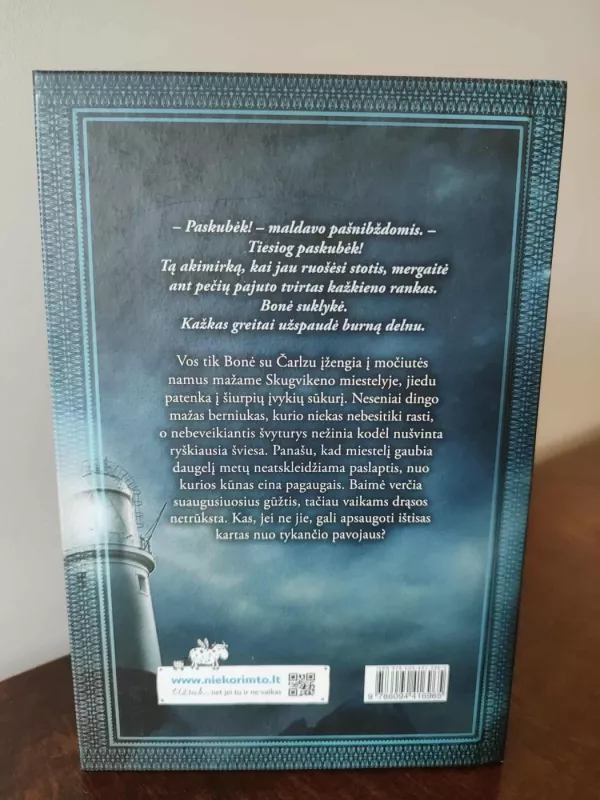 Erelių uolos paslaptis - Kristina Ohlssson, knyga 3