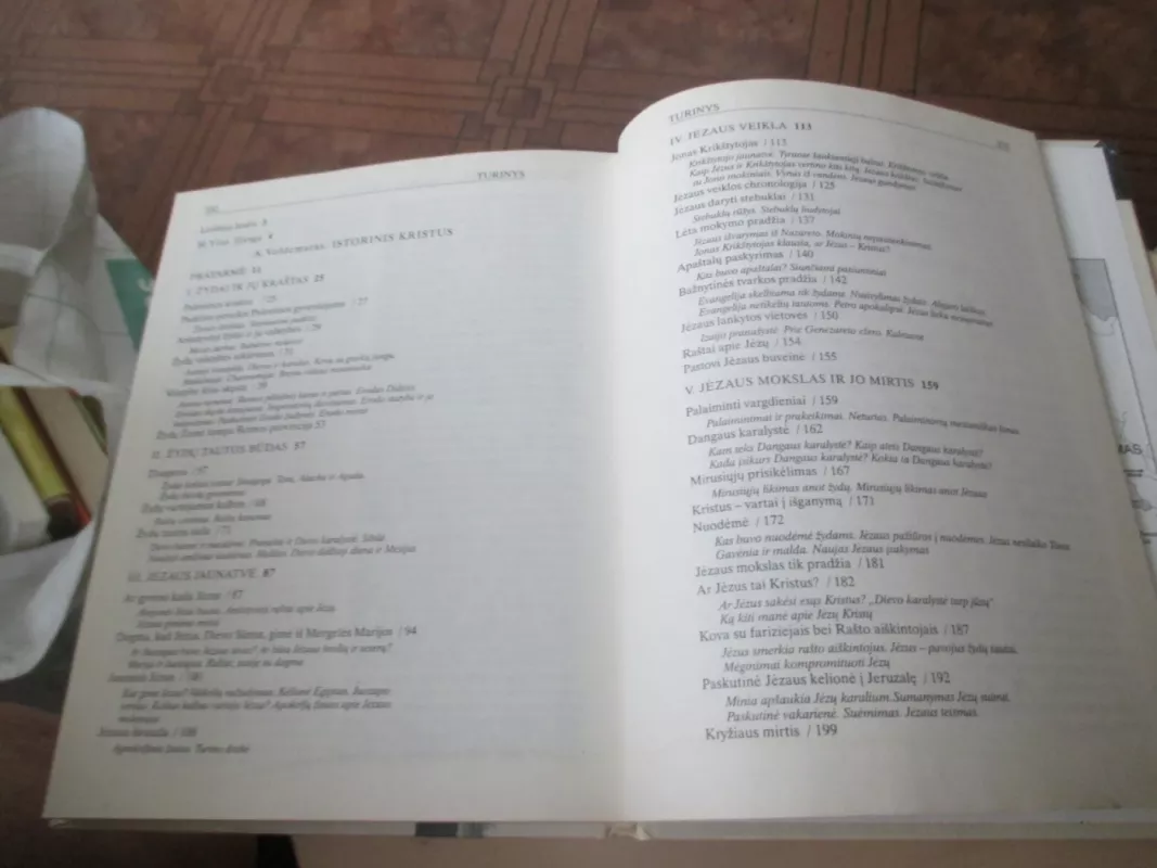 Ankstyvoji krikščionybė: Istorinis Kristus. Krikščionybės kilmė - Yčas Martynas (sudarytojas), knyga 6