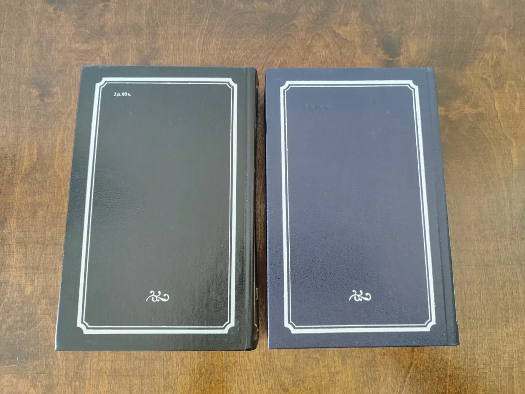 Voina i mir (1 - 4 tomai) - L. N. Tolstoj, knyga 4