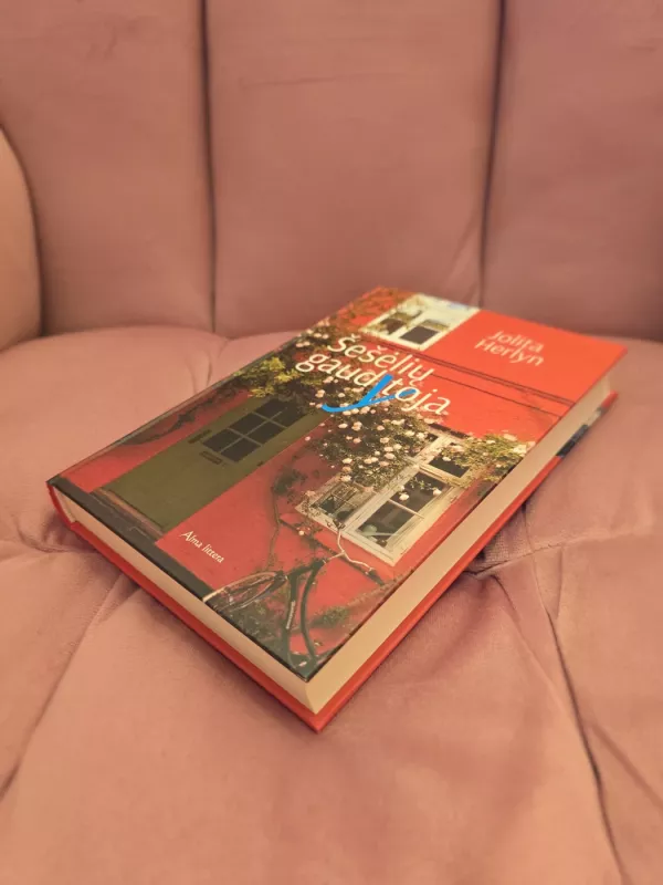 Šešėlių gaudytoja - Herlyn Jolita, knyga 3