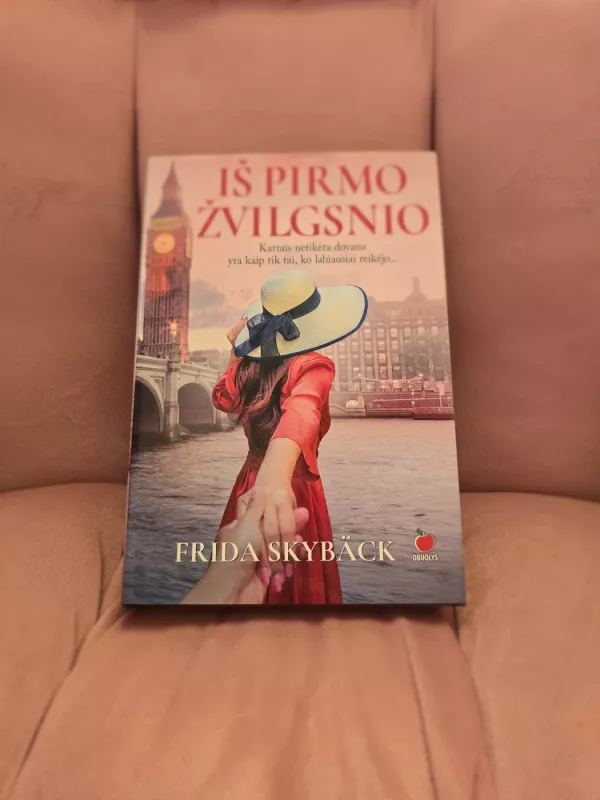 Iš pirmo žvilgsnio - Skybäck Frida, knyga 2