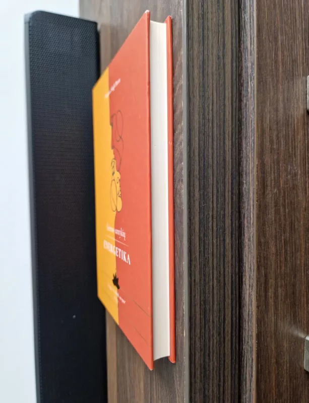 Šeimos santykių energetika - Harpreet Singh Heera, knyga 4