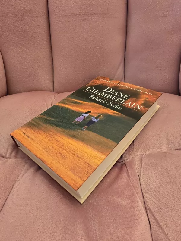 Žalvario žiedas - Diane Chamberlain, knyga 3