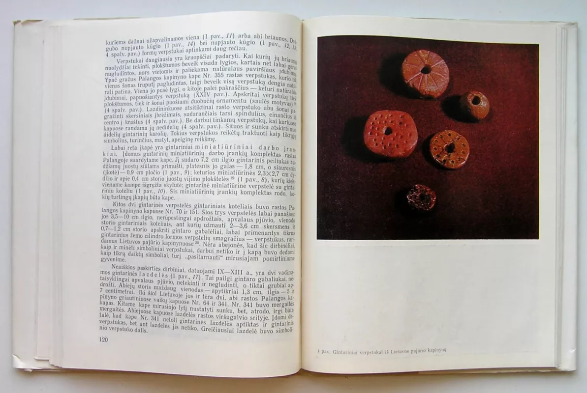 Lietuvių materialinė kultūra IX-XIII amžiuje (1 tomas) - R. Volkaitė-Kulikauskienė, knyga 5