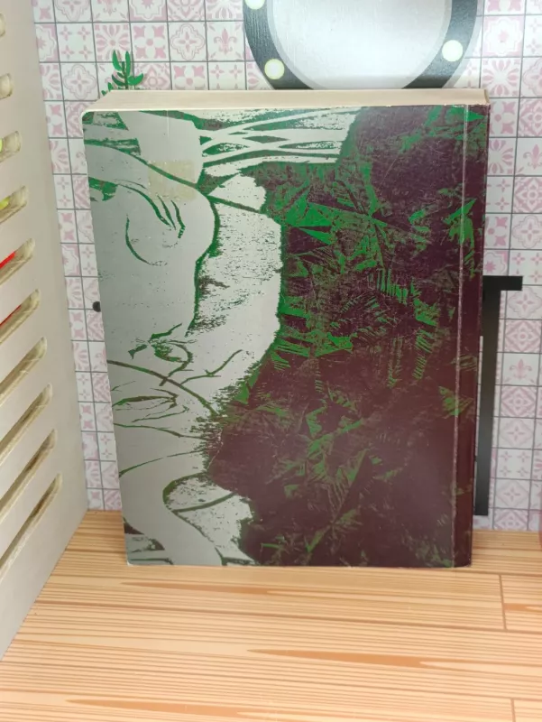 Didžiųjų mitų keliais - Mindaugas Bartninkas, knyga 4