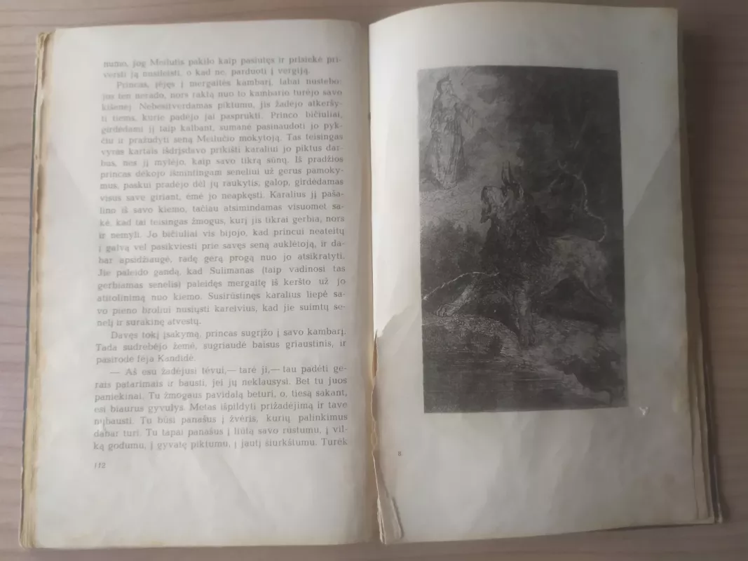 Fėjų pasakos - Autorių Kolektyvas, knyga 6