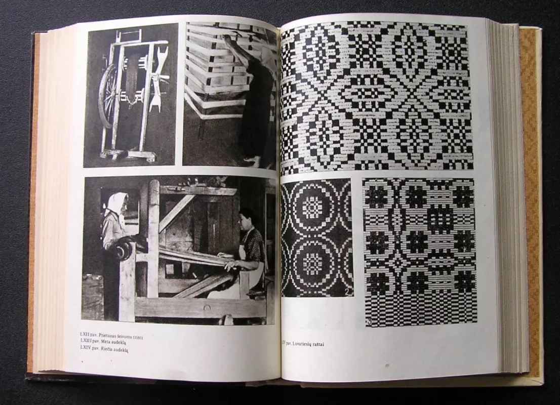 Lietuvių etnografija - Pranė Dundulie, knyga 5