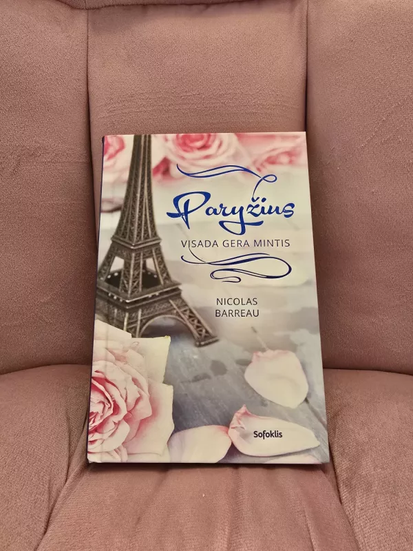 Paryžius visada gera mintis - Nicolas Barreau, knyga 2