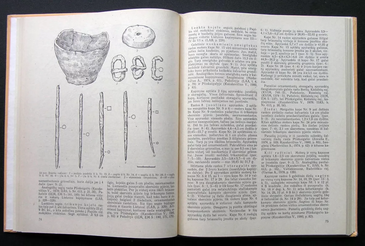 Lietuvos archeologija (3 tomas) - Autorių Kolektyvas, knyga 4