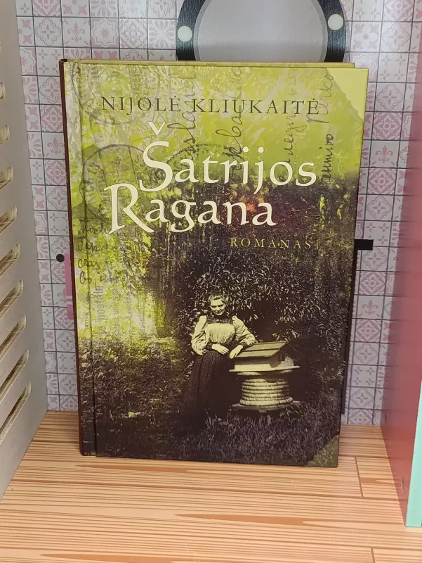Šatrijos Ragana. Romanas - Nijolė Kliukaitė, knyga 2