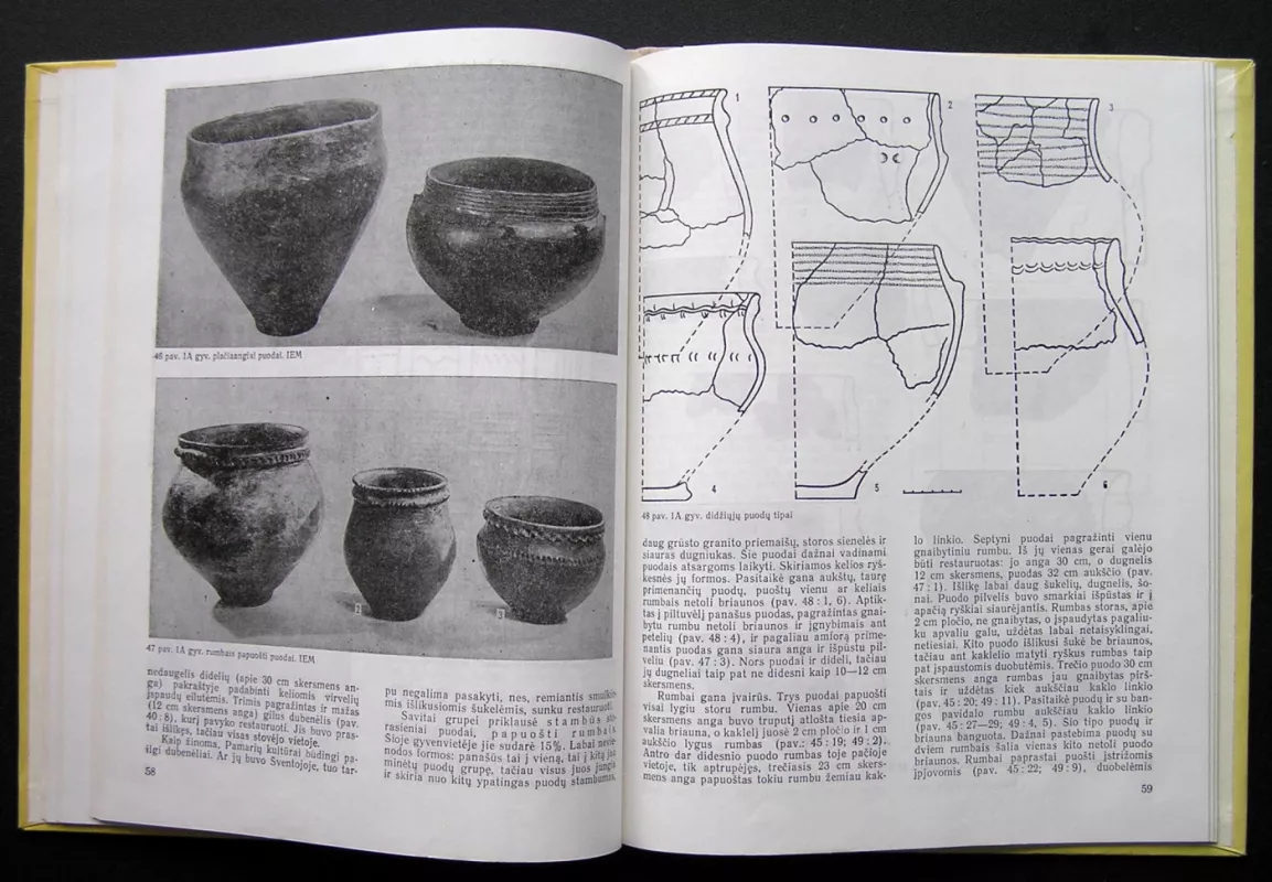 Šventoji. Pamarių kultūros gyvenvietės - Rimutė Rimantienė, knyga 5