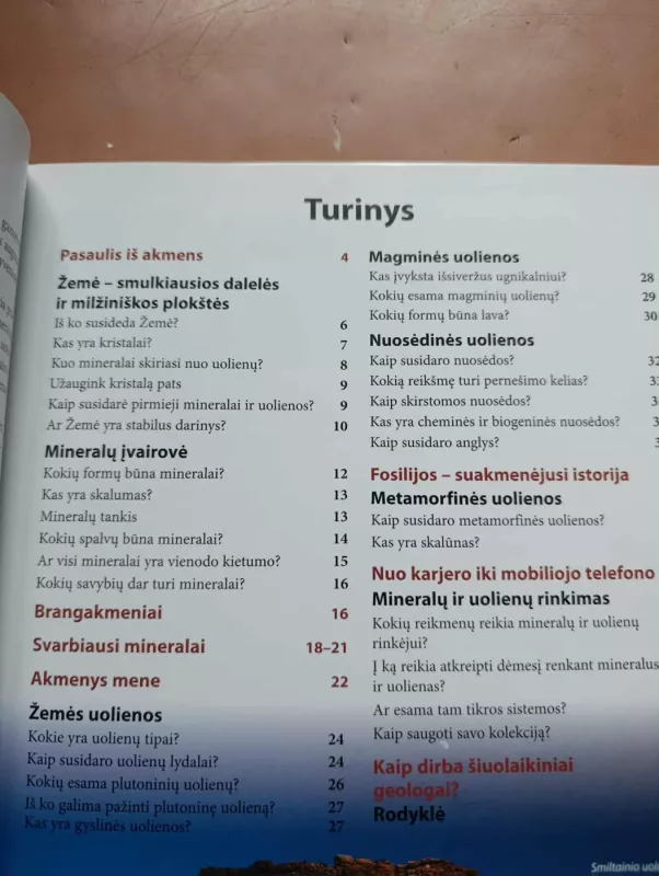 Kas yra kas. Mineralai ir uolienos - Werner Buggisch,  Christian Buggisch, knyga 4