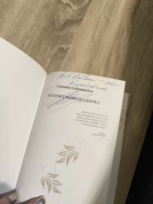 Kelionė į pasaulio centrą - Gintautas Labanauskas, knyga 4