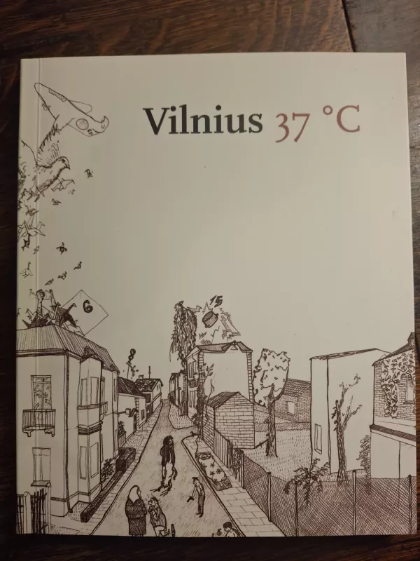 Vilnius 37 °C - Autorių Kolektyvas, knyga 2