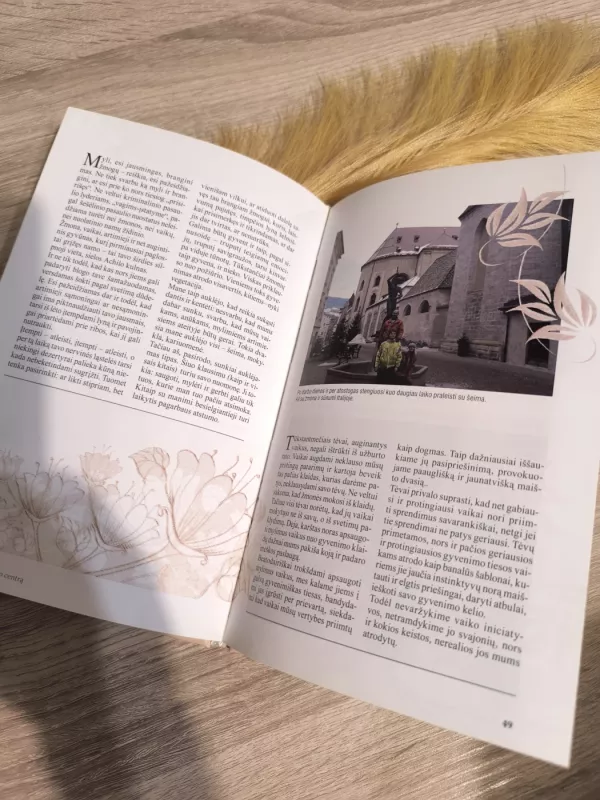 Kelionė į pasaulio centrą - Gintautas Labanauskas, knyga 6